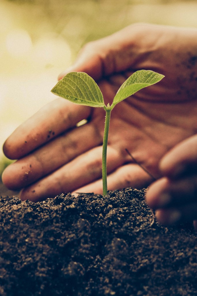 Responsible Sourcing